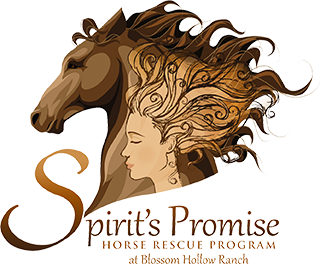 Spirit's Promise Horse Rescue Program